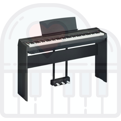 Piano Tuning & Maintenance